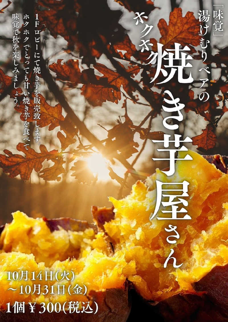 ムラたんさんの綱島源泉 湯けむりの庄のサ活写真