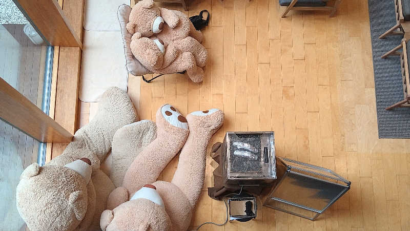 ムラたんさんの綱島源泉 湯けむりの庄のサ活写真