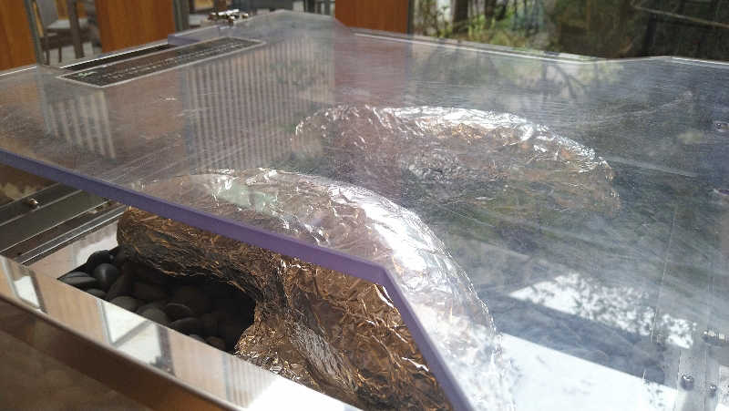 ムラたんさんの綱島源泉 湯けむりの庄のサ活写真