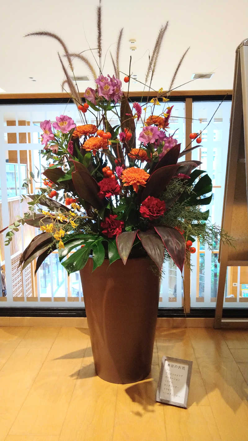 ムラたんさんの綱島源泉 湯けむりの庄のサ活写真