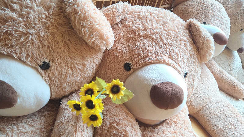 ムラたんさんの綱島源泉 湯けむりの庄のサ活写真