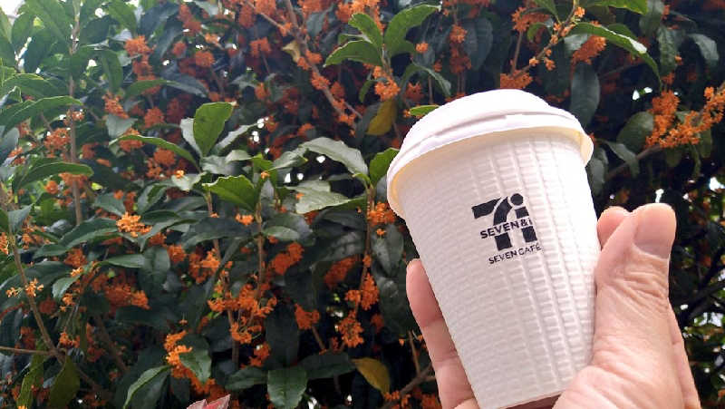 ムラたんさんの綱島源泉 湯けむりの庄のサ活写真