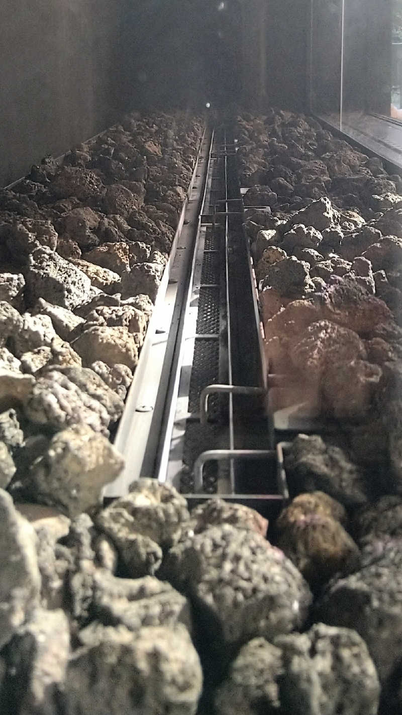 ムラたんさんの綱島源泉 湯けむりの庄のサ活写真