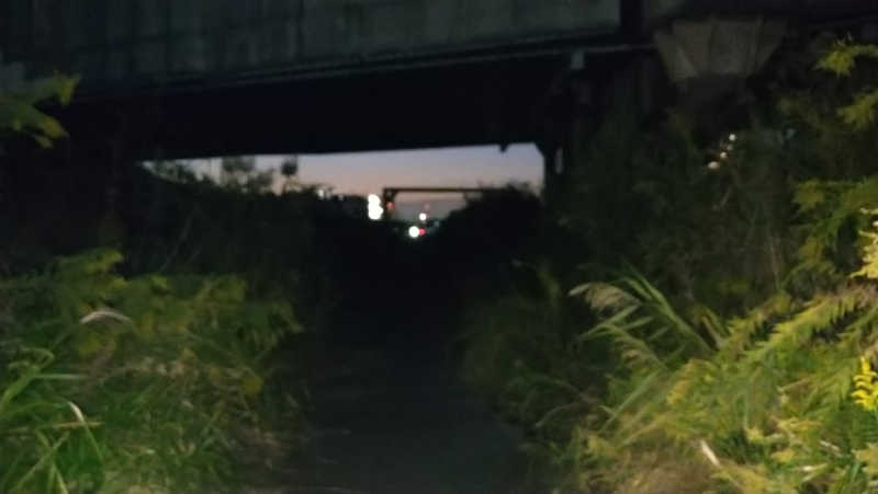 ムラたんさんの綱島源泉 湯けむりの庄のサ活写真