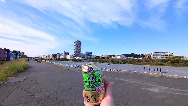 ムラたんさんの綱島源泉 湯けむりの庄のサ活写真