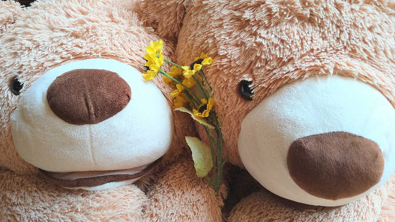 ムラたんさんの綱島源泉 湯けむりの庄のサ活写真