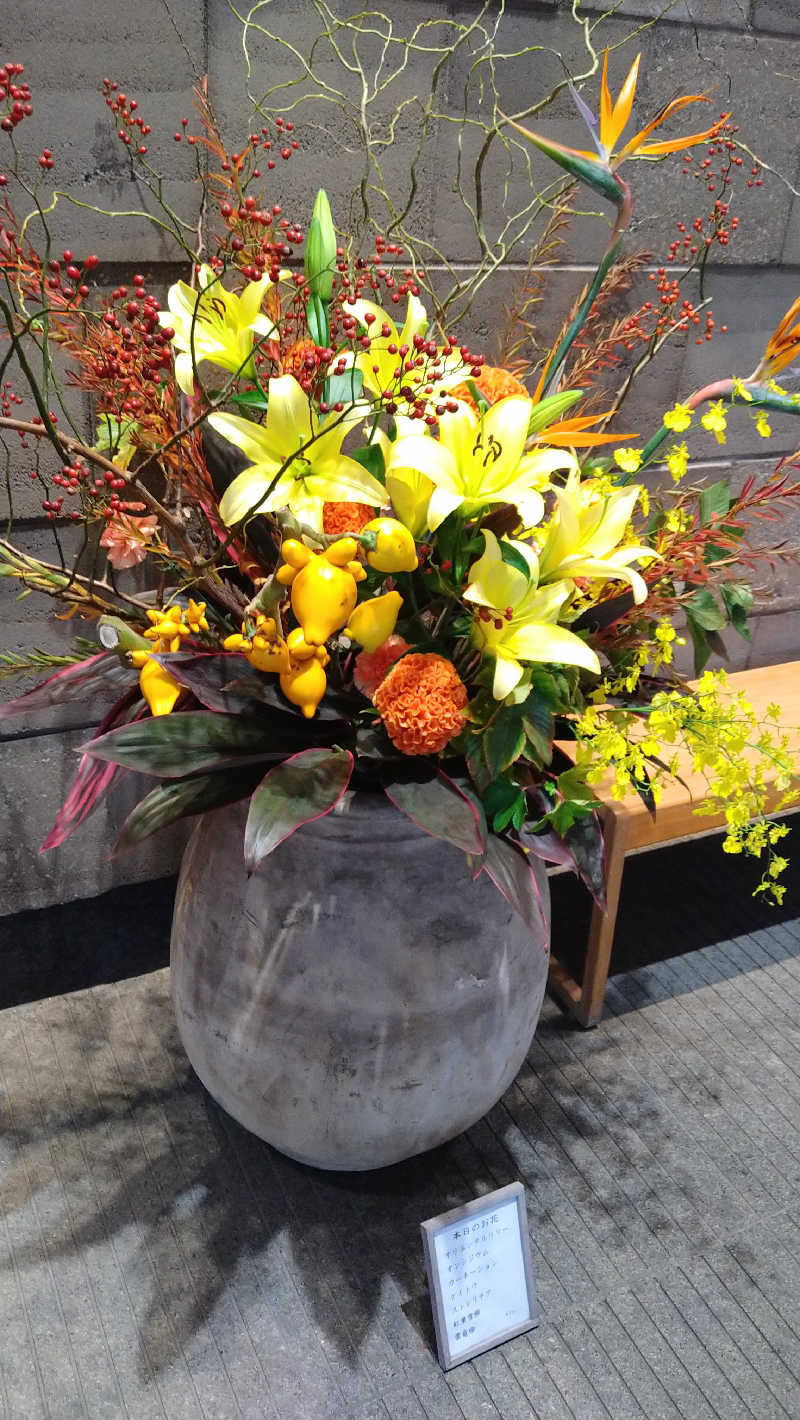 ムラたんさんの綱島源泉 湯けむりの庄のサ活写真