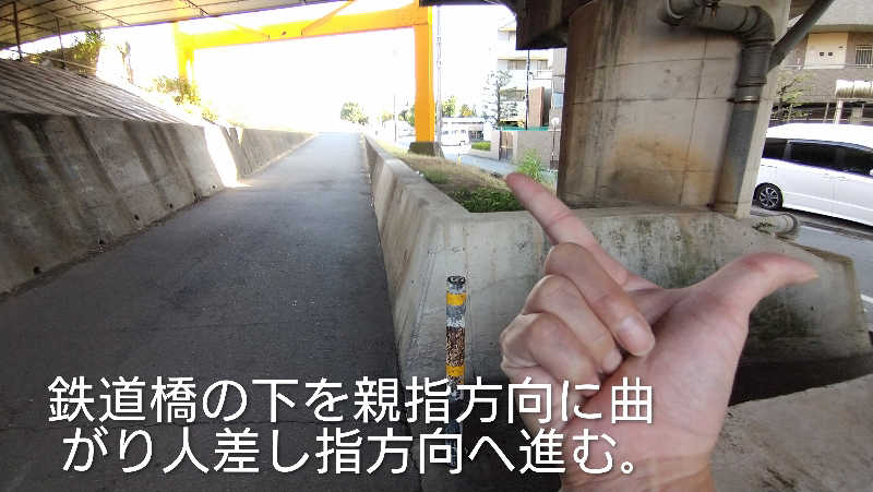 ムラたんさんの綱島源泉 湯けむりの庄のサ活写真