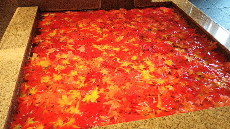 ムラたんさんの綱島源泉 湯けむりの庄のサ活写真