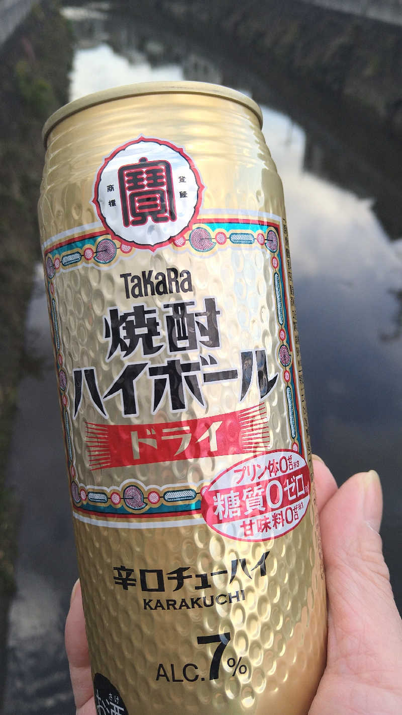 ムラたんさんの綱島源泉 湯けむりの庄のサ活写真