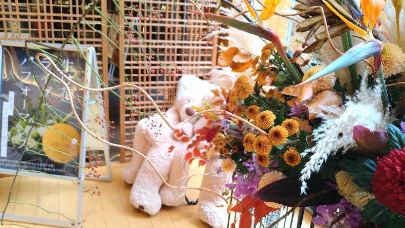 ムラたんさんの綱島源泉 湯けむりの庄のサ活写真