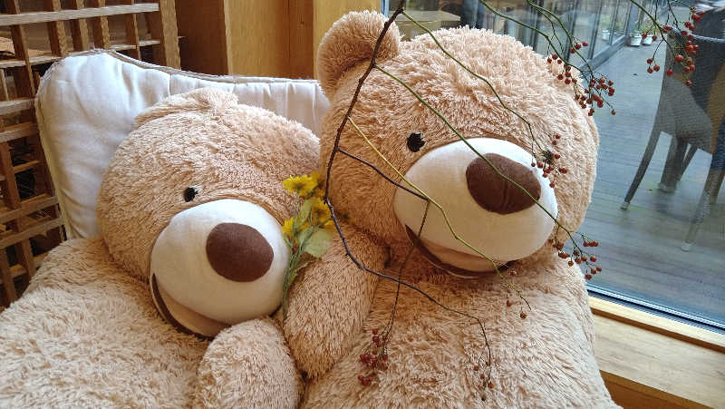 ムラたんさんの綱島源泉 湯けむりの庄のサ活写真