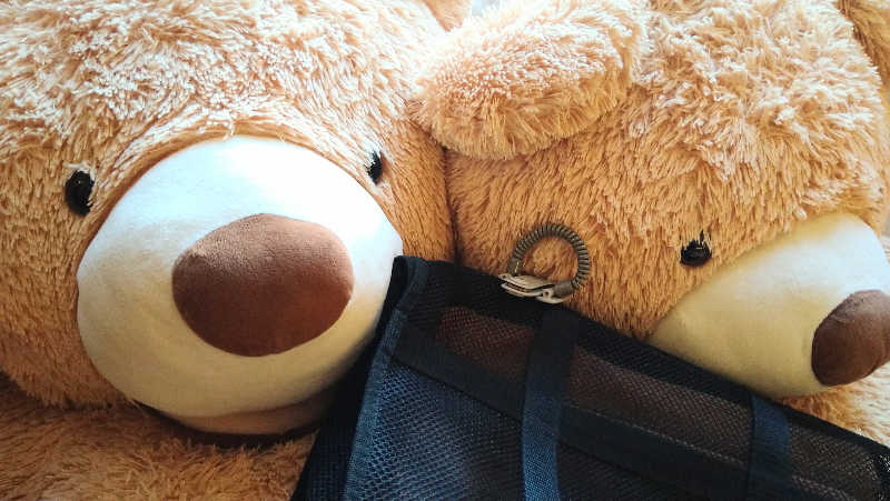 ムラたんさんの綱島源泉 湯けむりの庄のサ活写真