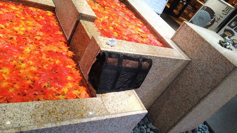 ムラたんさんの綱島源泉 湯けむりの庄のサ活写真