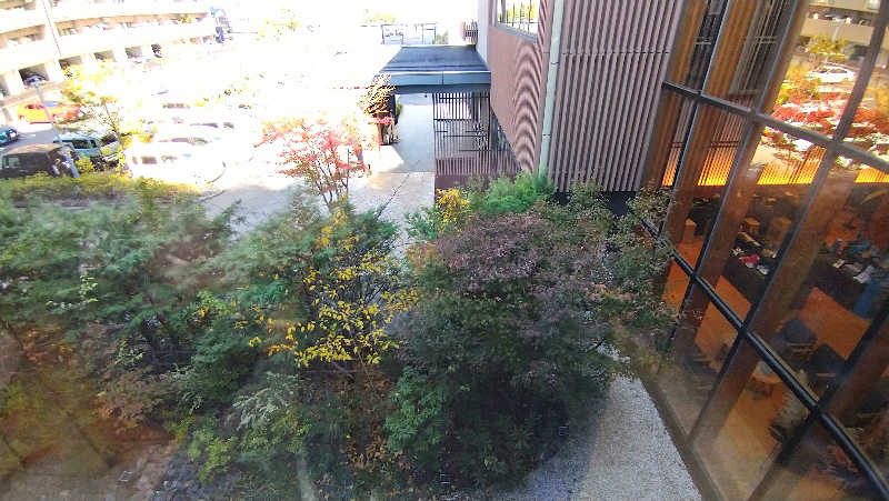 ムラたんさんの綱島源泉 湯けむりの庄のサ活写真