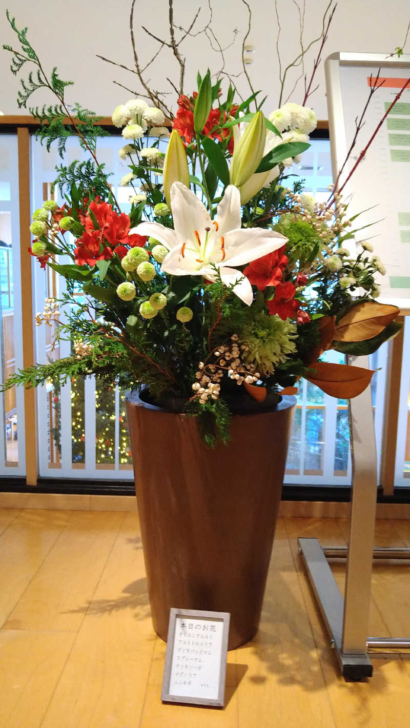 ムラたんさんの綱島源泉 湯けむりの庄のサ活写真