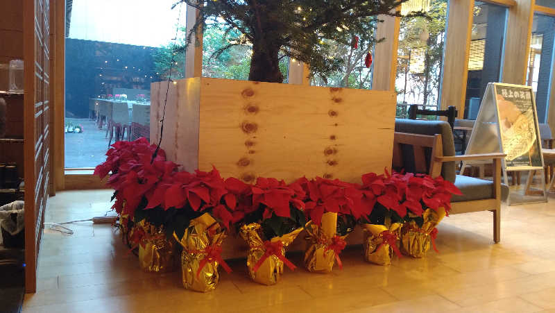 ムラたんさんの綱島源泉 湯けむりの庄のサ活写真