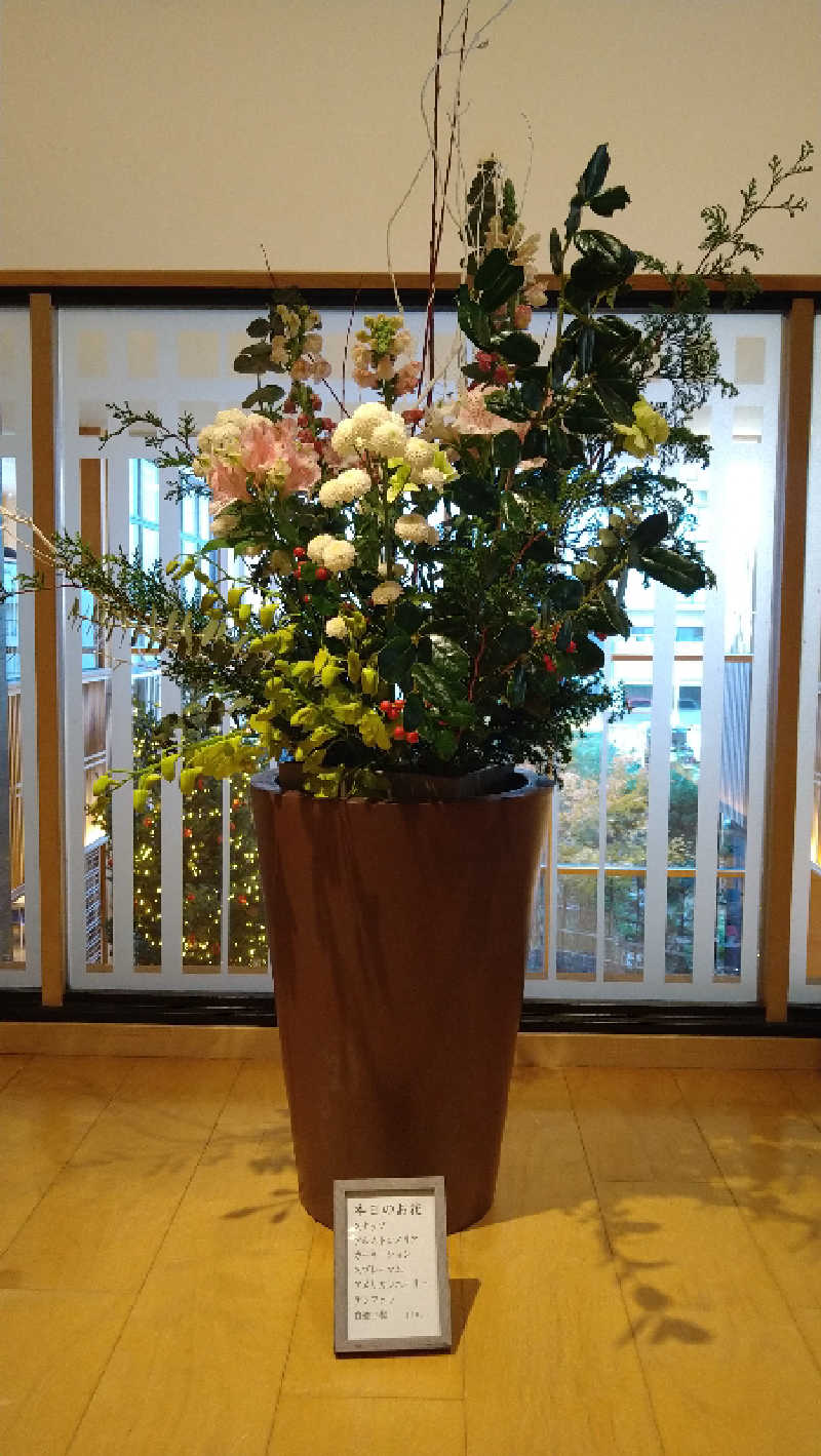 ムラたんさんの綱島源泉 湯けむりの庄のサ活写真