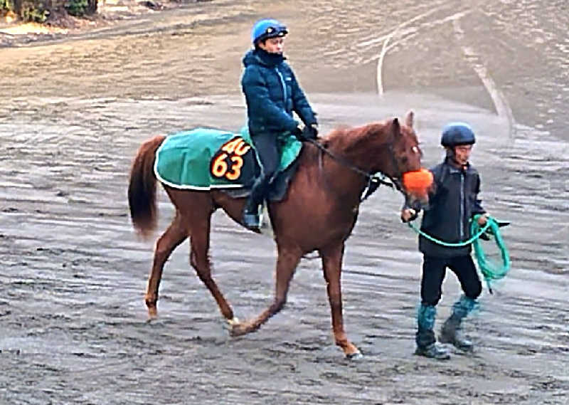 ムラたんさんのジェクサー・フィットネス&スパ 大井町のサ活写真
