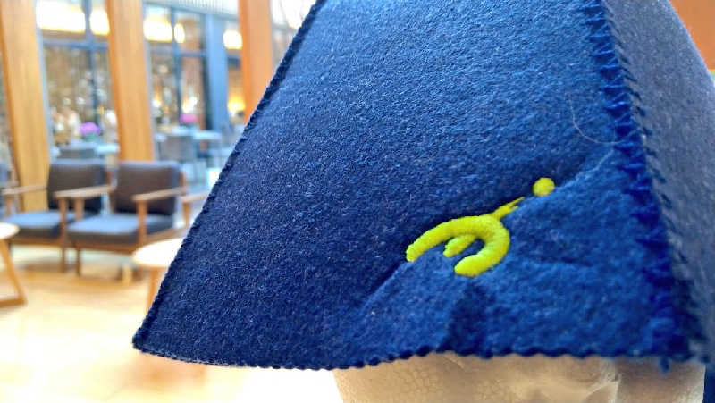 ムラたんさんの綱島源泉 湯けむりの庄のサ活写真