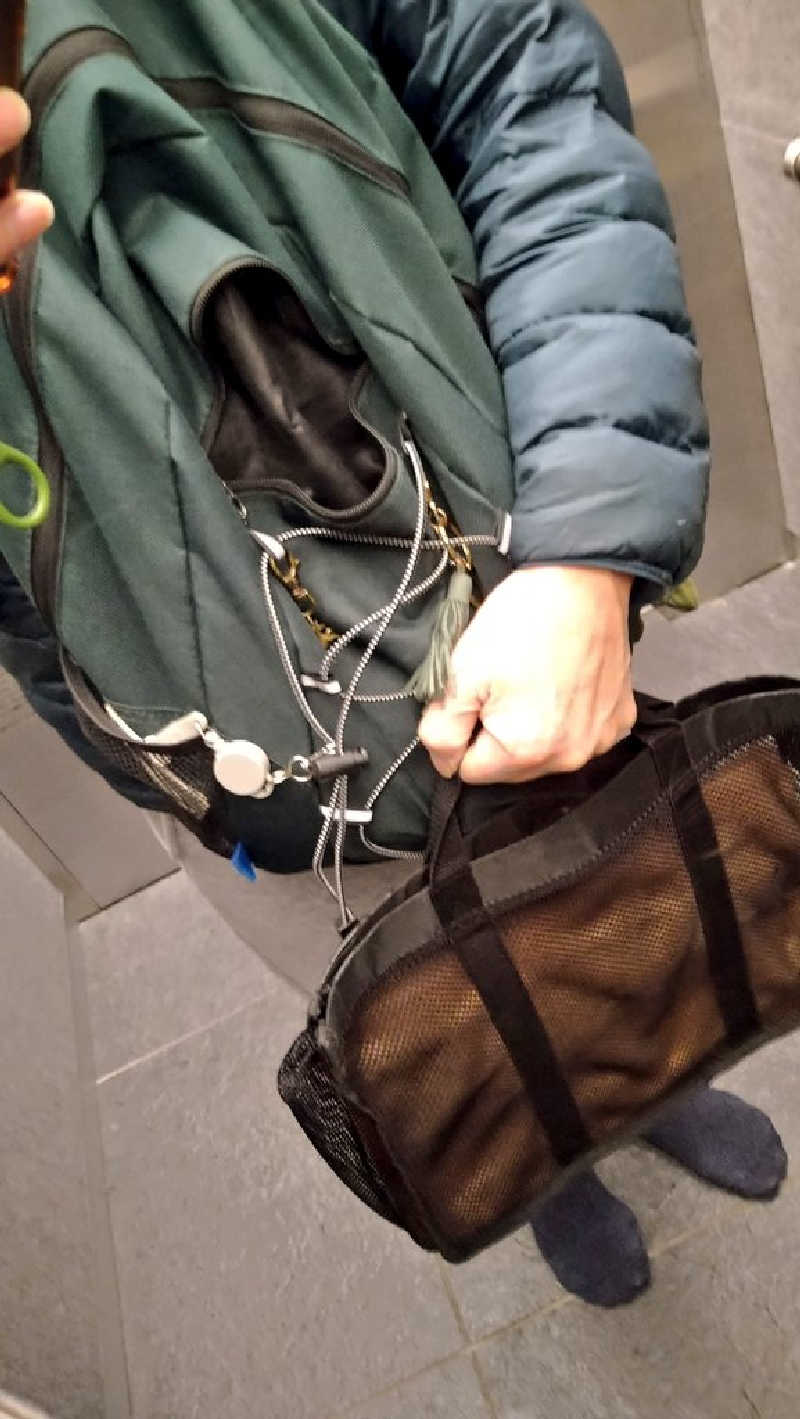 ムラたんさんの綱島源泉 湯けむりの庄のサ活写真