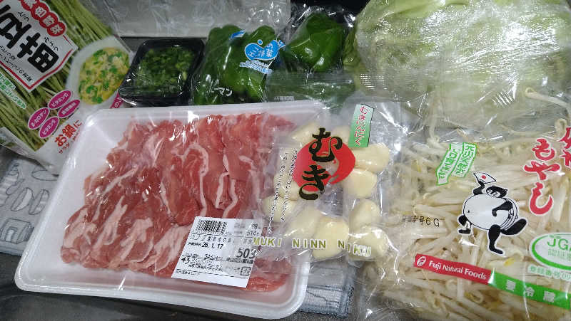 ムラたんさんの綱島源泉 湯けむりの庄のサ活写真