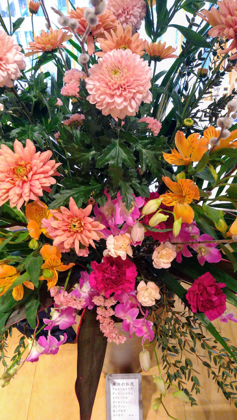 ムラたんさんの綱島源泉 湯けむりの庄のサ活写真