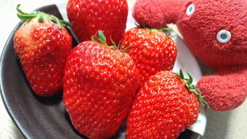 ムラたんさんの中延温泉 松の湯のサ活写真