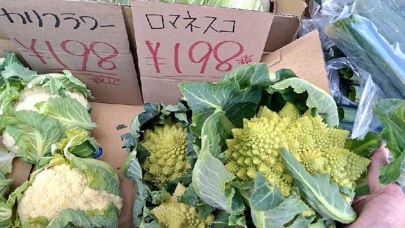 ムラたんさんの綱島源泉 湯けむりの庄のサ活写真