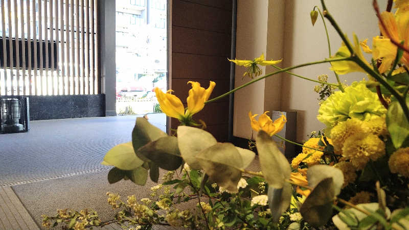 ムラたんさんの綱島源泉 湯けむりの庄のサ活写真