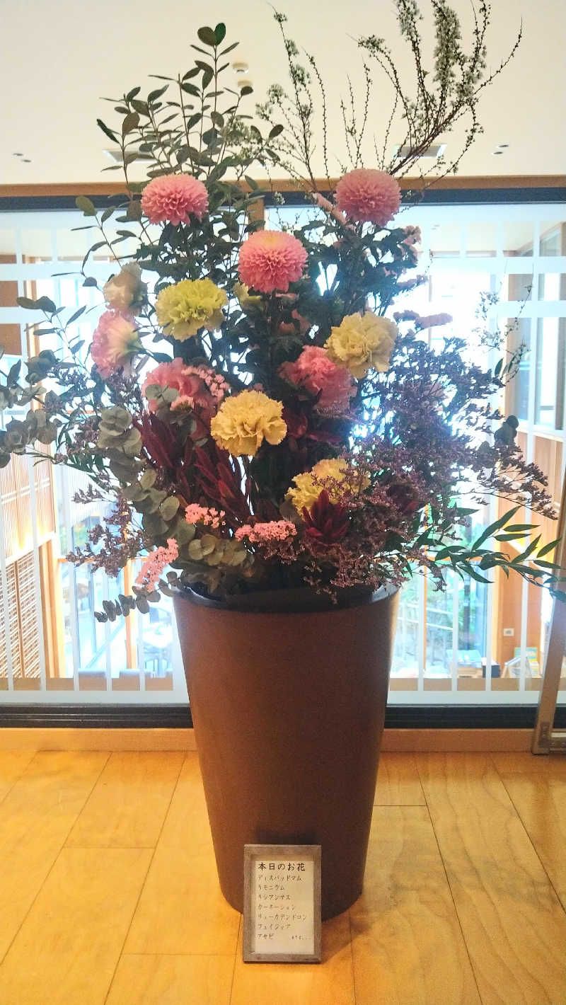 ムラたんさんの綱島源泉 湯けむりの庄のサ活写真