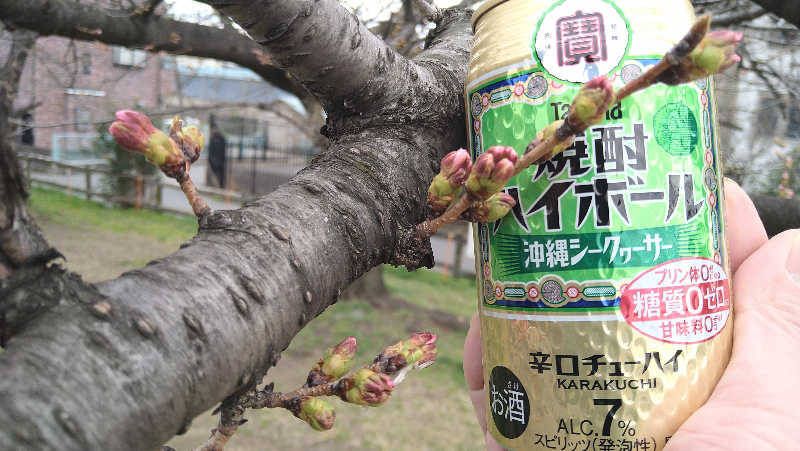 ムラたんさんの綱島源泉 湯けむりの庄のサ活写真