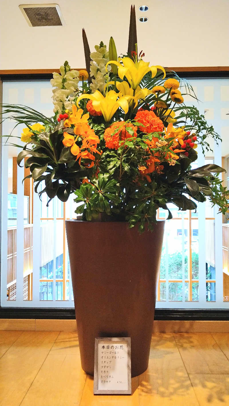 ムラたんさんの綱島源泉 湯けむりの庄のサ活写真