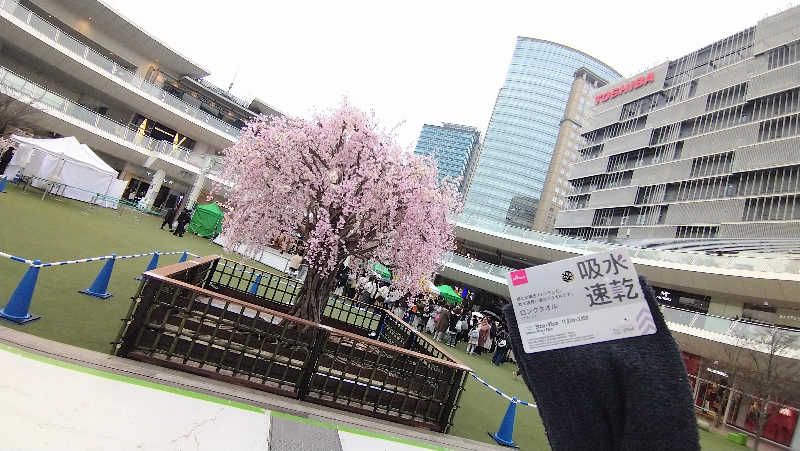 ムラたんさんのジェクサー・フィットネス&スパ24川崎のサ活写真