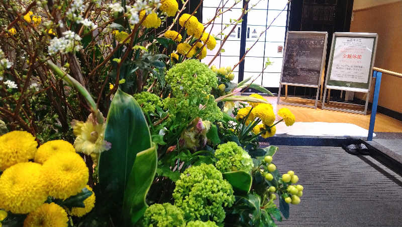 ムラたんさんの綱島源泉 湯けむりの庄のサ活写真