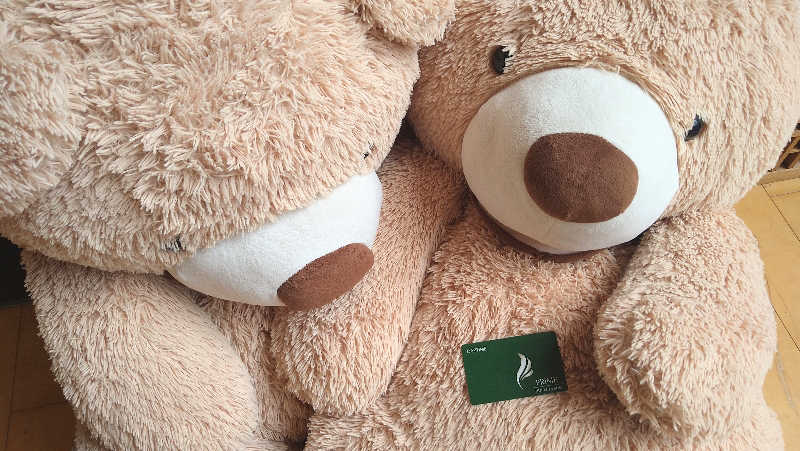 ムラたんさんの綱島源泉 湯けむりの庄のサ活写真