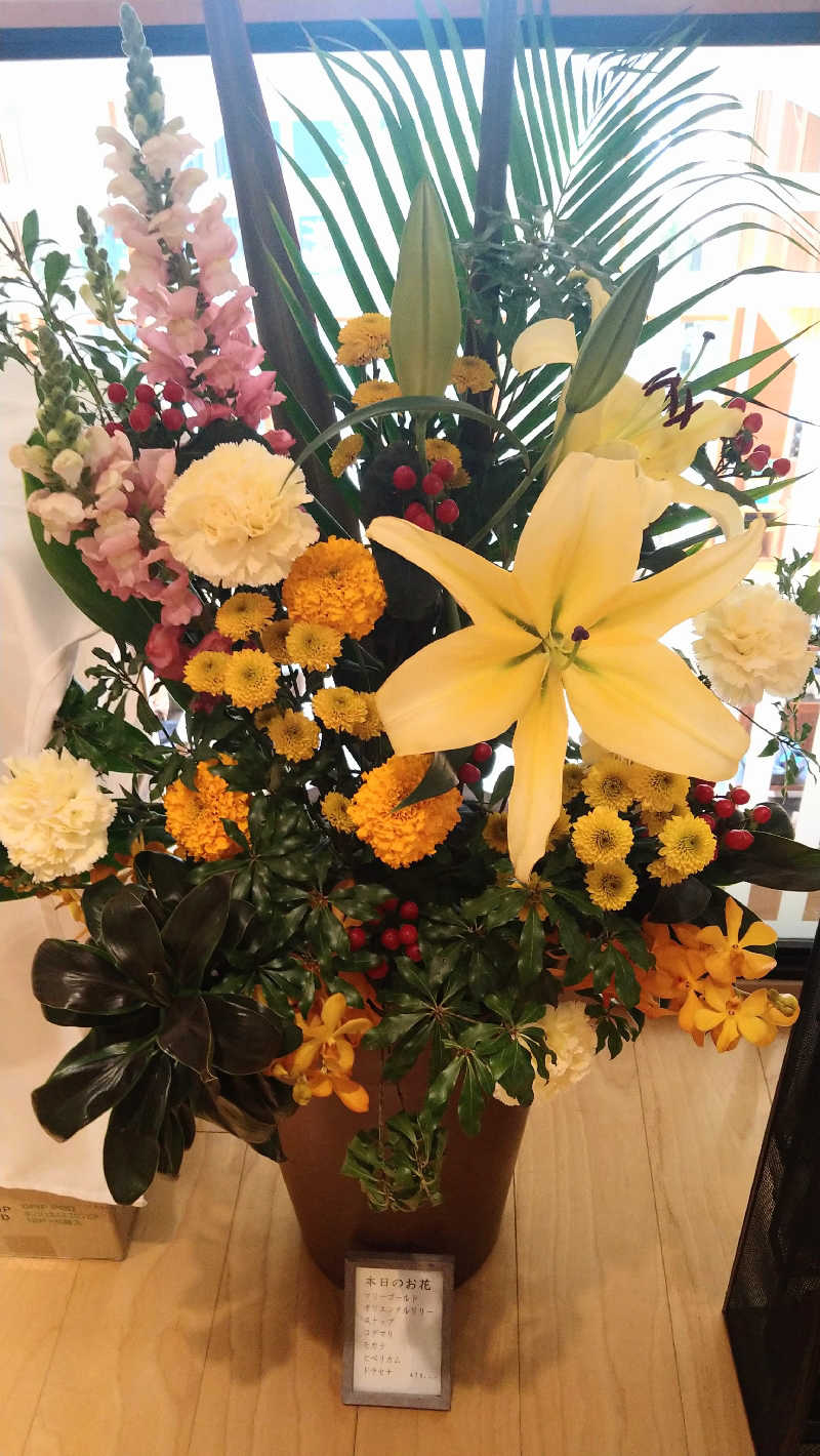 ムラたんさんの綱島源泉 湯けむりの庄のサ活写真