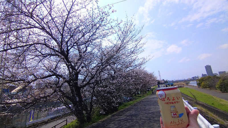 ムラたんさんの綱島源泉 湯けむりの庄のサ活写真