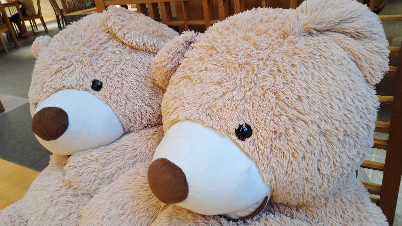 ムラたんさんの綱島源泉 湯けむりの庄のサ活写真