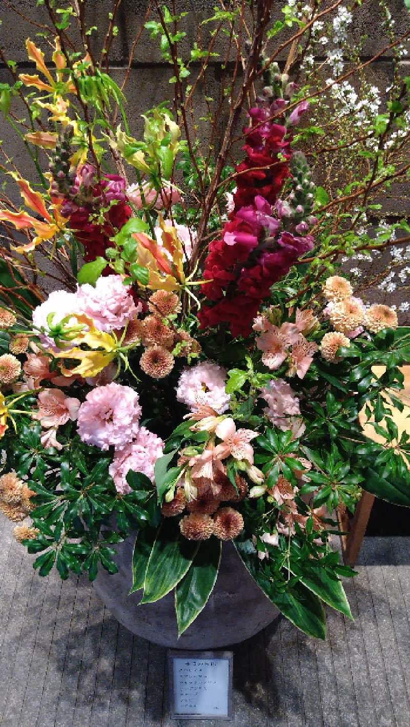 ムラたんさんの綱島源泉 湯けむりの庄のサ活写真