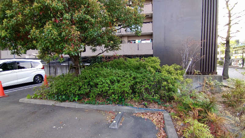 ムラたんさんの綱島源泉 湯けむりの庄のサ活写真