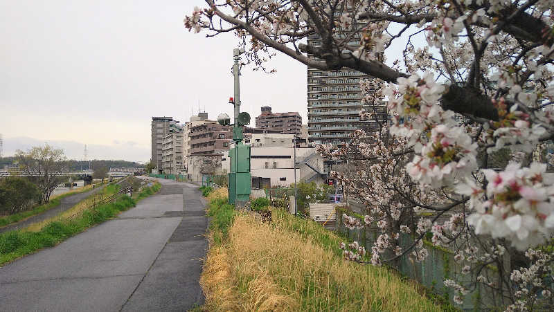 ムラたんさんの綱島源泉 湯けむりの庄のサ活写真