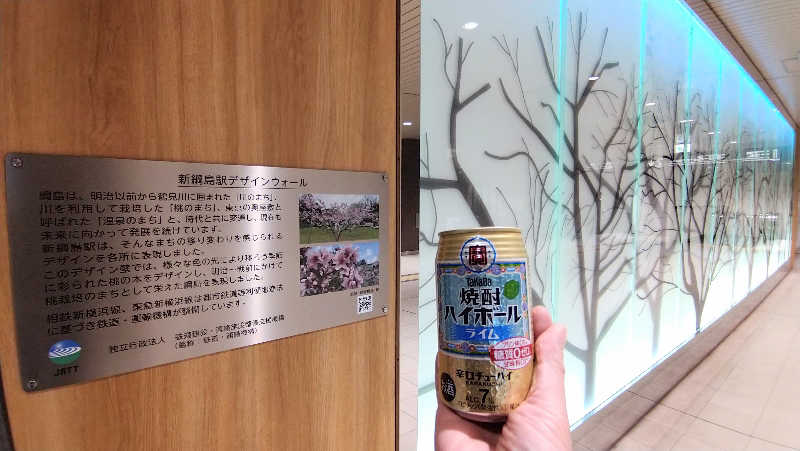 ムラたんさんの綱島源泉 湯けむりの庄のサ活写真