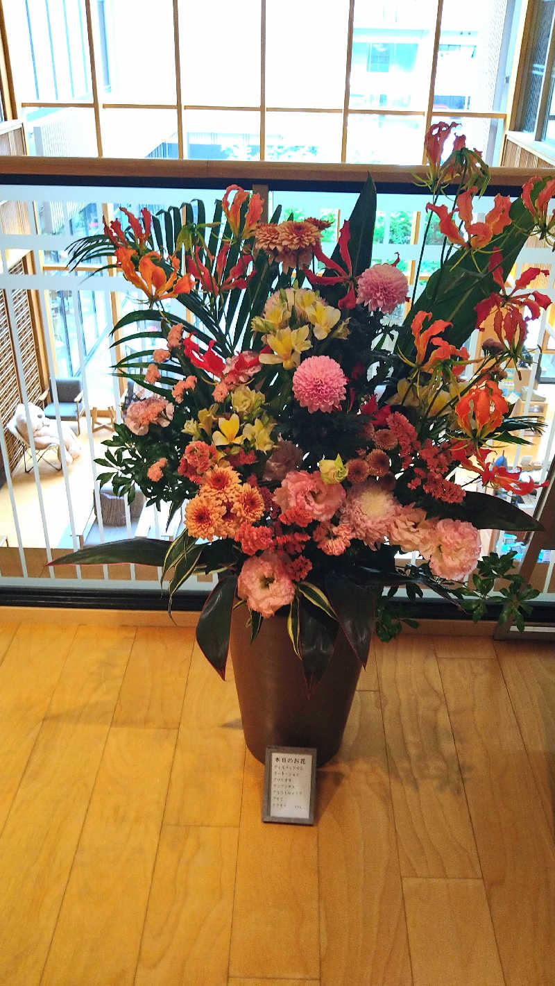 ムラたんさんの綱島源泉 湯けむりの庄のサ活写真