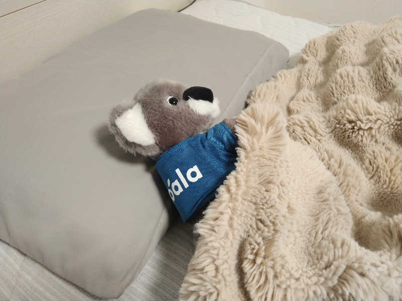 ムラたんさんのジェクサー・フィットネス&スパ 大井町のサ活写真