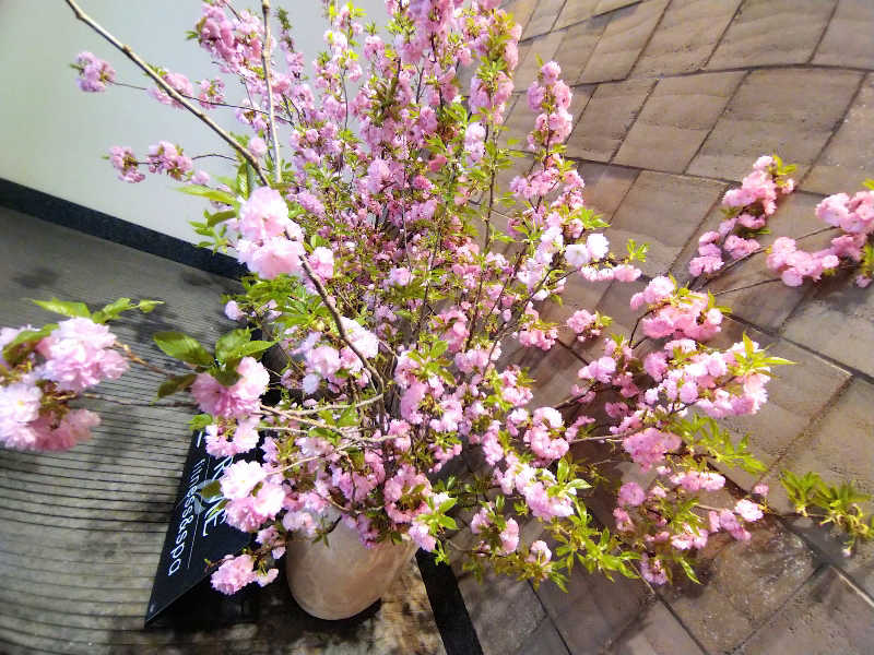 ムラたんさんの綱島源泉 湯けむりの庄のサ活写真