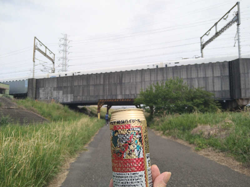 ムラたんさんの綱島源泉 湯けむりの庄のサ活写真