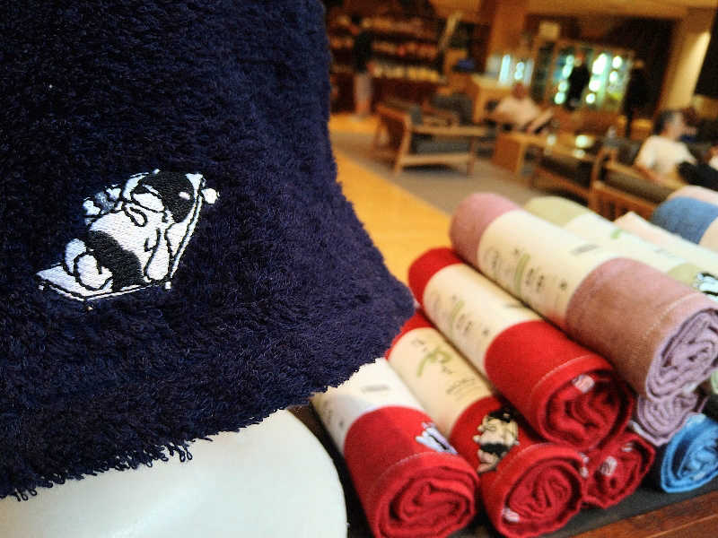 ムラたんさんの綱島源泉 湯けむりの庄のサ活写真