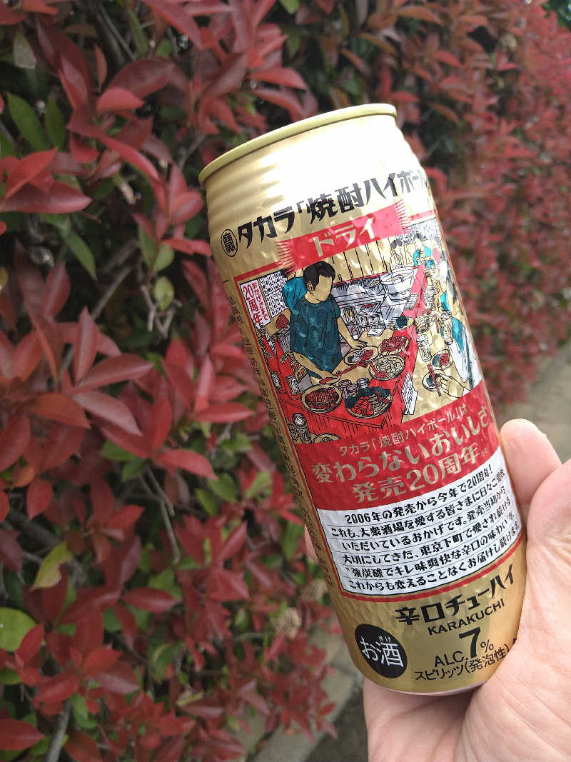 ムラたんさんの綱島源泉 湯けむりの庄のサ活写真