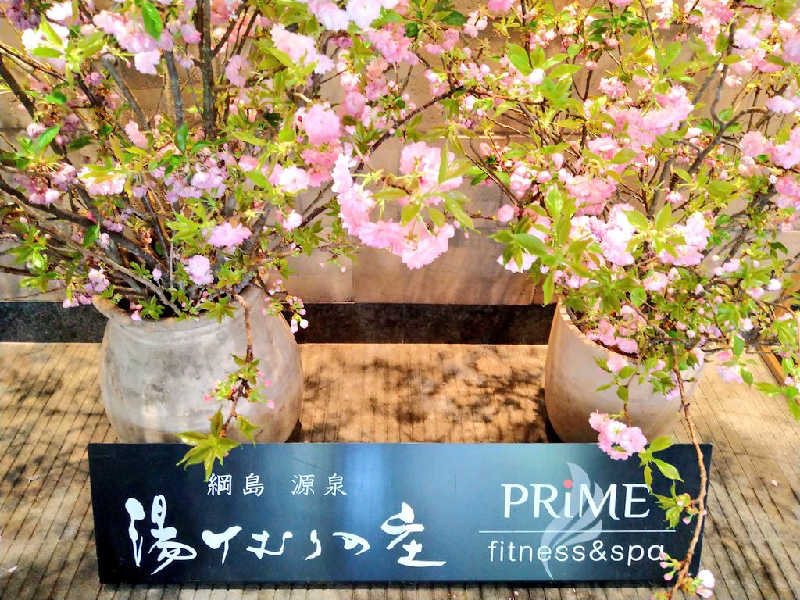 ムラたんさんの綱島源泉 湯けむりの庄のサ活写真